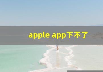 apple app下不了